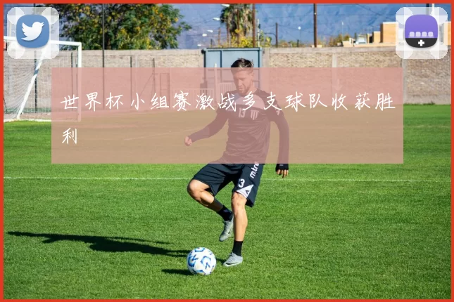 世界杯小组赛激战多支球队收获胜利