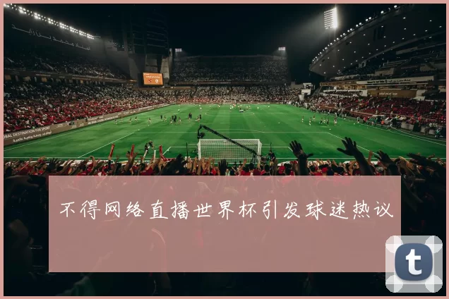 不得网络直播世界杯引发球迷热议