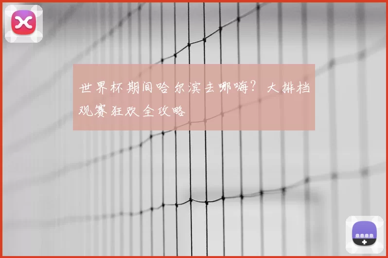 世界杯期间哈尔滨去哪嗨?大排档观赛狂欢全攻略