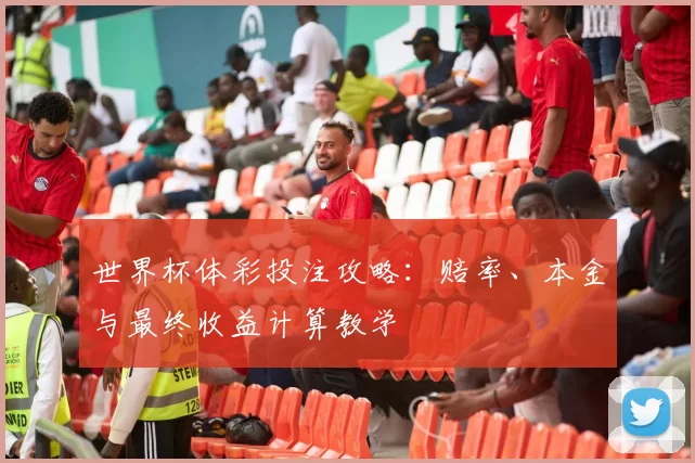 世界杯体彩投注攻略:赔率、本金与最终收益计算教学