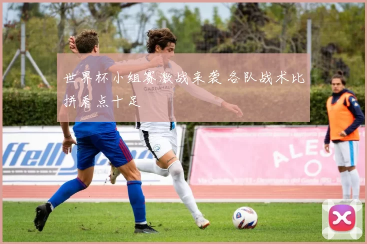 世界杯小组赛激战来袭 各队战术比拼看点十足