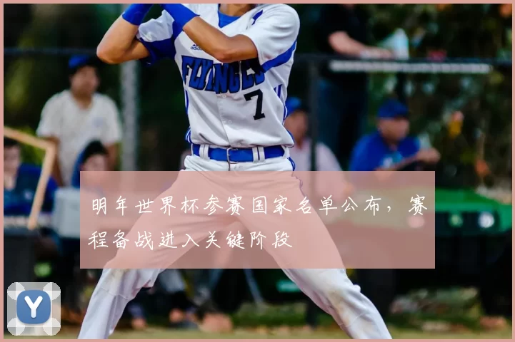 明年世界杯参赛国家名单公布,赛程备战进入关键阶段