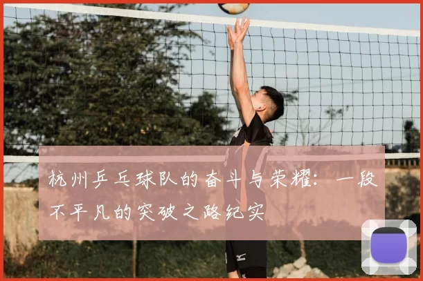 杭州乒乓球队的奋斗与荣耀：一段不平凡的突破之路纪实