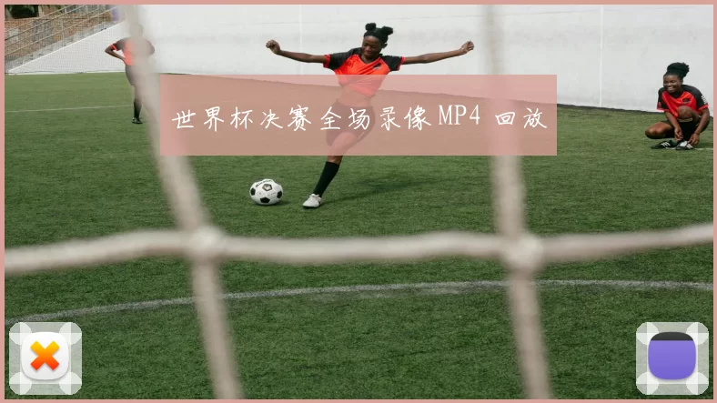 世界杯决赛全场录像 MP4 回放