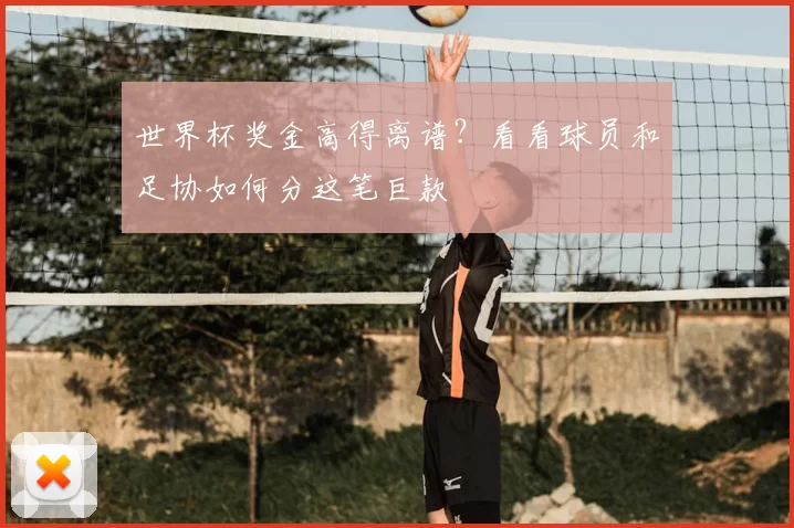 世界杯奖金高得离谱?看看球员和足协如何分这笔巨款