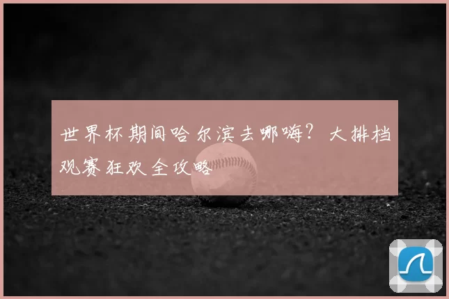 世界杯期间哈尔滨去哪嗨?大排档观赛狂欢全攻略