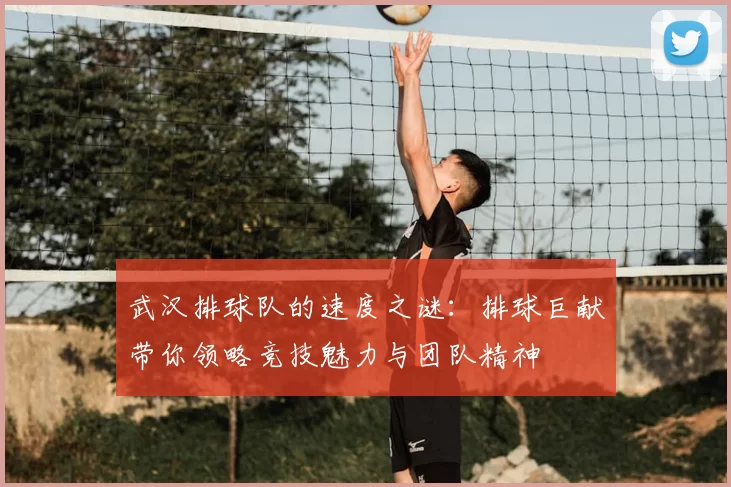 武汉排球队的速度之谜：排球巨献带你领略竞技魅力与团队精神