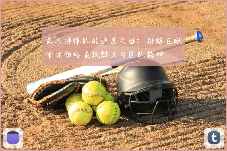武汉排球队的速度之谜：排球巨献带你领略竞技魅力与团队精神