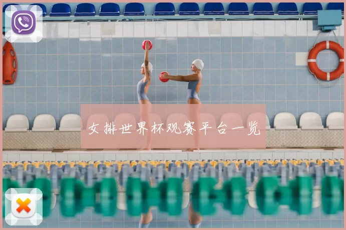 女排世界杯观赛平台一览