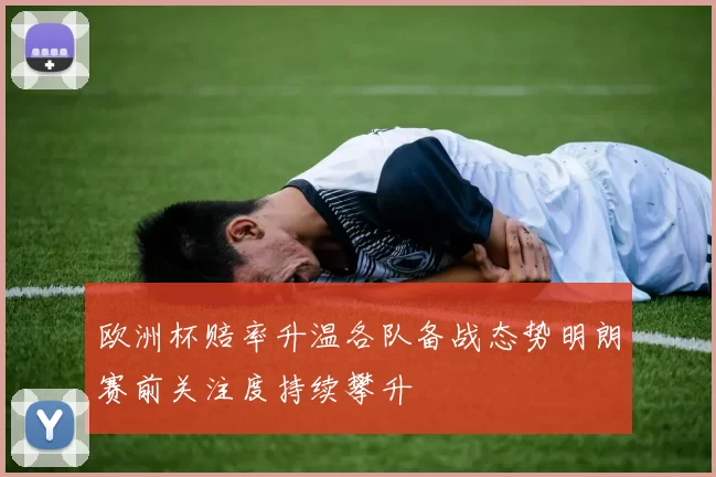 欧洲杯赔率升温各队备战态势明朗赛前关注度持续攀升