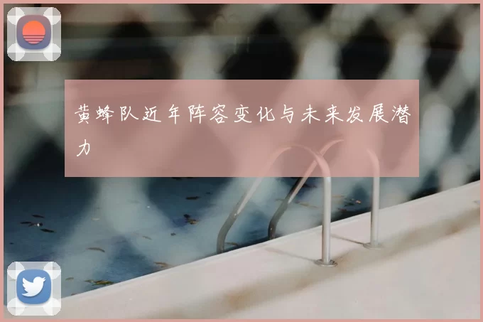 黄蜂队近年阵容变化与未来发展潜力