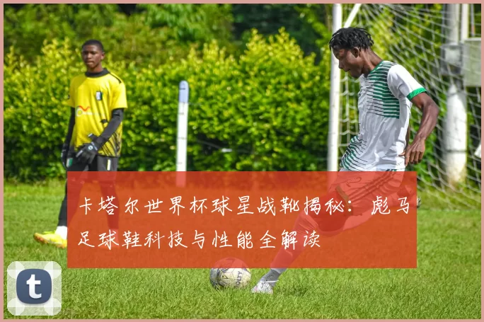 卡塔尔世界杯球星战靴揭秘:彪马足球鞋科技与性能全解读