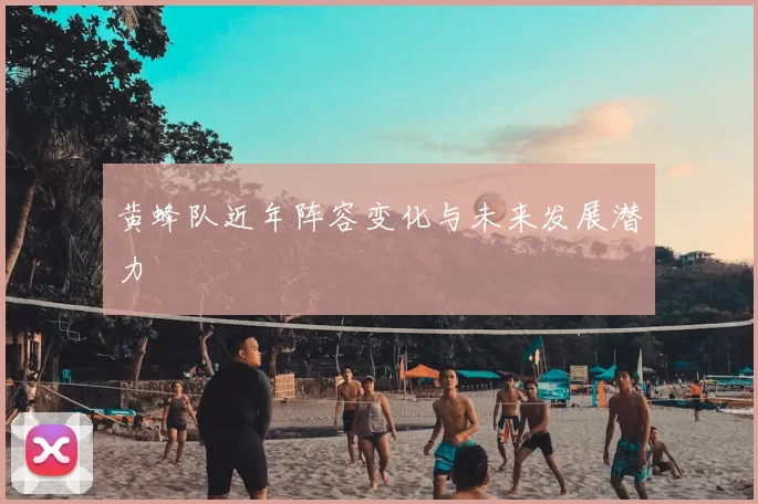 黄蜂队近年阵容变化与未来发展潜力