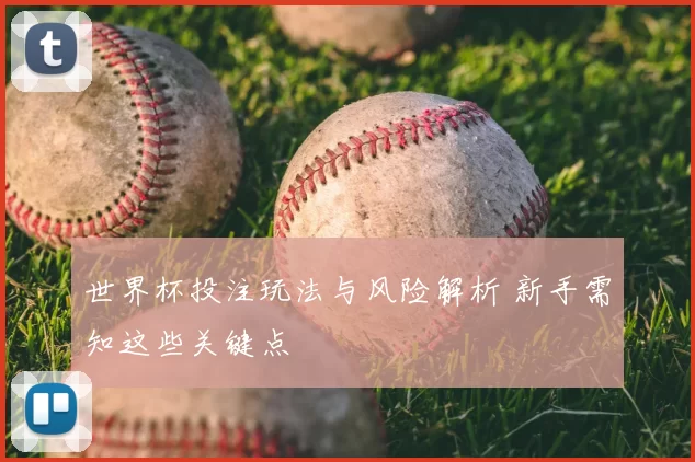 世界杯投注玩法与风险解析 新手需知这些关键点
