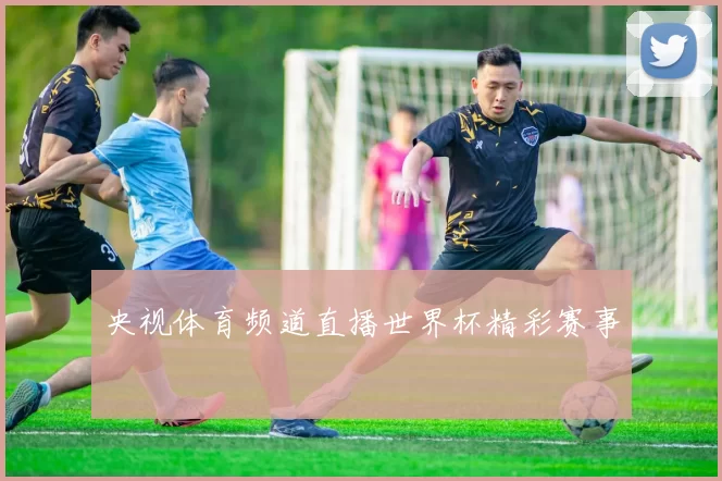央视体育频道直播世界杯精彩赛事