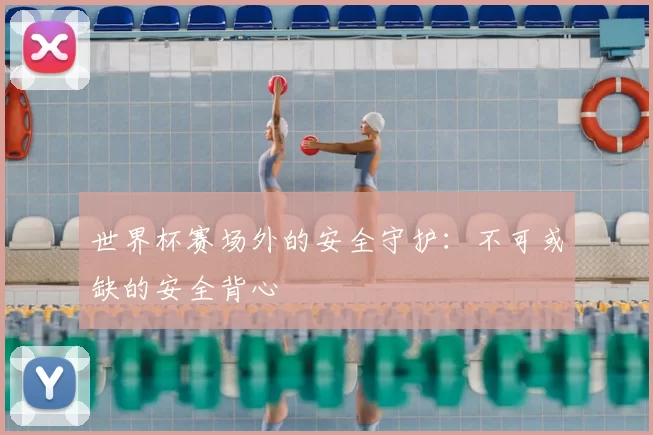 世界杯赛场外的安全守护:不可或缺的安全背心